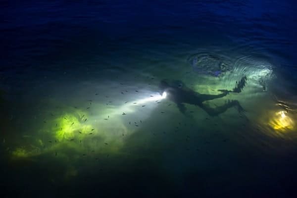 Night Diving